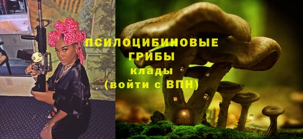 бутират Баксан
